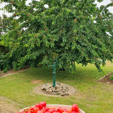 Apartamento Neumühler Hof- Stilvolle Lisa, Kostenfreie Parkplätze Und Netflix Schwerin (Mecklenburg-Vorpommern)