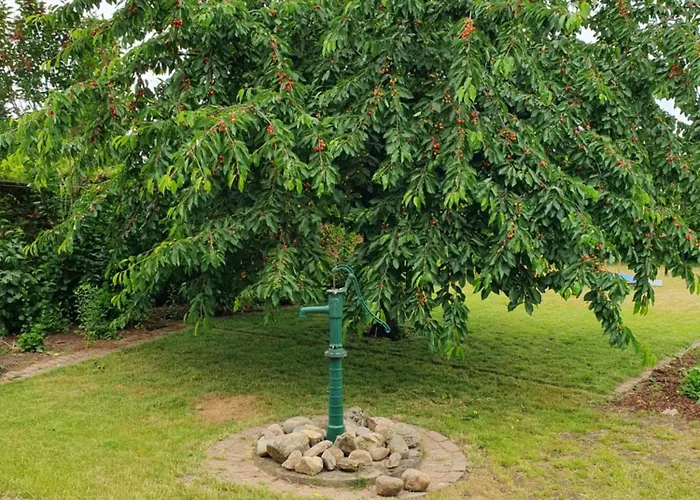 Lägenhet Neumuehler Hof- Stilvolle 